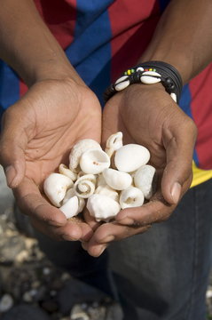 Shells found on beach, Sao Vicente, Cape Verde Islands
