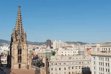 Details of the Cathedral of Barcelona