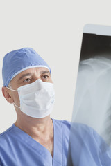 Fototapeta na wymiar Senior male surgeon examining x-ray over gray background