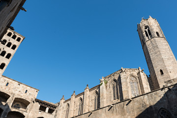 the King's Palace in Barcelona