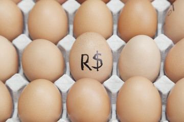 Brazilian currency sign on egg surrounded by plain brown eggs in carton