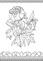 Coloring book chinese peony - 129992930