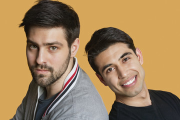 Portrait of a young male friends back to back over colored background