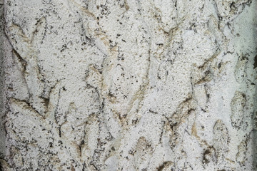 Cement wall