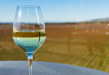Glass of white wine and vineyard background