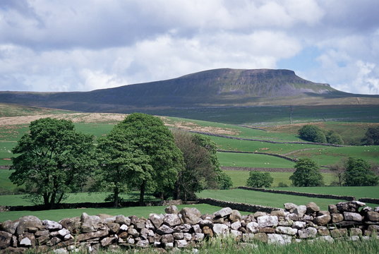 View of Pen-y-ghent, Ribblesdale, Yorkshire