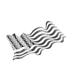 united states of america flag vector illustration design