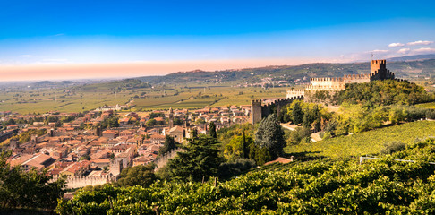 view of Soave (Italy) and its famous medieval castle - 130004308