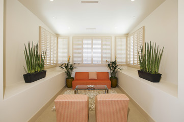 Narrow living room with houseplants