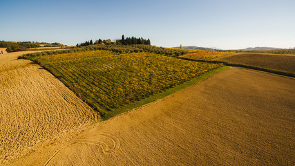Fototapeta premium Aerial view of the hilly landscape in Tuscany.