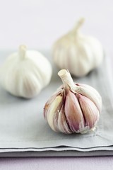 Fresh garlic