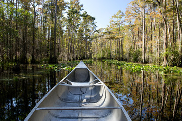 Fototapeta premium Okefenokee by Canoe