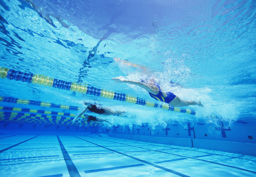 Group Of Female Swimmers Racing Together In Swimming Pool