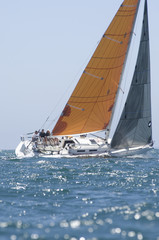 View of a yacht with orange sail competing in team sailing event