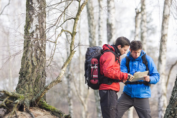 Male backpackers reading map in forest