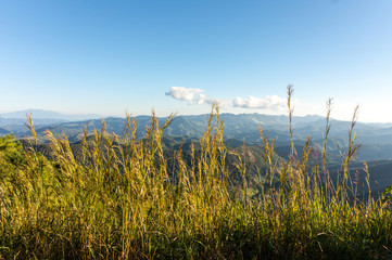 Obraz premium mountains view landscape blue sky