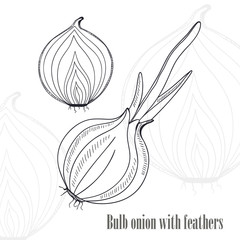 Bulb onion with feathers. Eco food background.