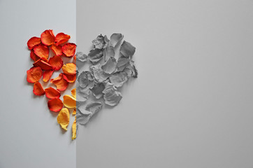 
Rose petals are laid out in the shape of a heart on a gray background, the word love of rose...