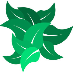 Branch with green leaves. Vector Illustration on a white background