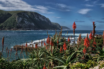 Herbst im Tsitsikamma Nationalpark Südafrika