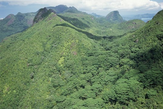 Aerial view of Morne Seychellois, Northern Region, island of Mahe, Seychelles
