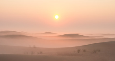 Quiet moment in desert during sunrise. Dubai, UAE.