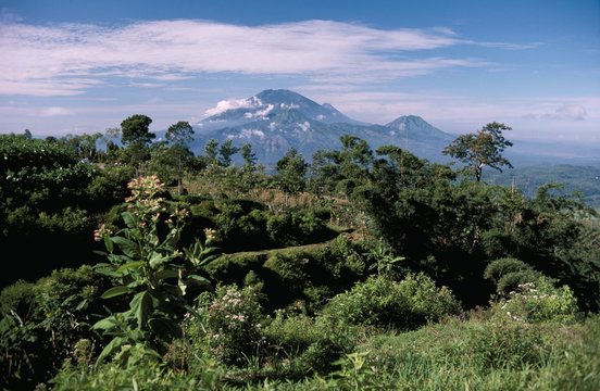 Site of Gedong Songo, island of Java, Indonesia