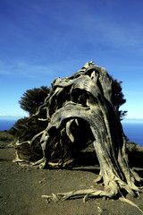 îles Canaries hierro