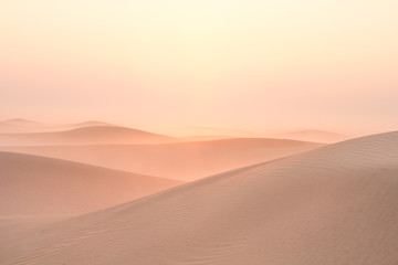 Fototapeta na wymiar Quiet moment in desert during sunrise. Dubai, UAE.