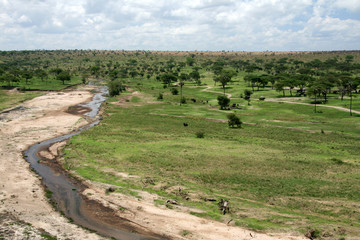 Tarangire River - Tanzania, Africa