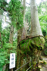 玉置神社 © キャプテンフック