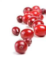 Cranberries on white background - studio shot