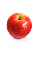 Studio shot of apples on white background