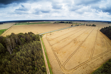 Midsummer day in Latvian countryside.