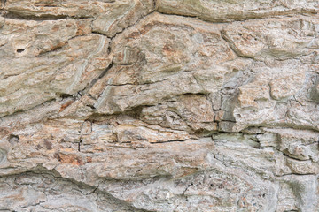 Texture of old wood background