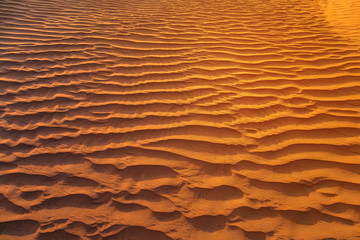 Fototapeta na wymiar desert dune background