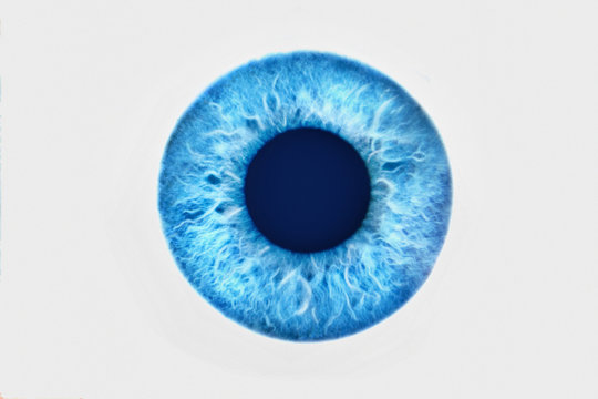 Closeup of blue eye on white background