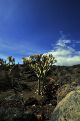 îles Canaries hierro