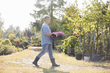 Full length side view of gardener walking while carrying crate of flower pots in garden