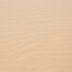 white sand dune desert in Mui Ne, Vietnam