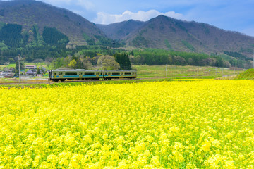青空の下、田舎を走る日本の鉄道 