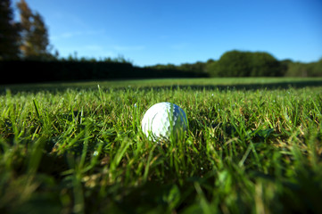 Golf ball on wet lush fairway