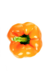 Yellow pepper on white background