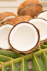 Coconut for make coconut milk