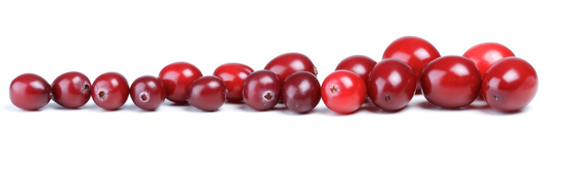 Close-up of cranberries on white background