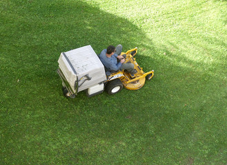 Fototapeta premium jardinage