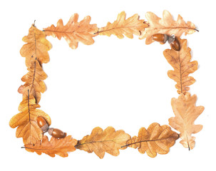 Oak frame isolated on white background