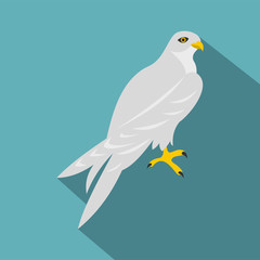 Hawk icon. Flat illustration of hawk vector icon for web