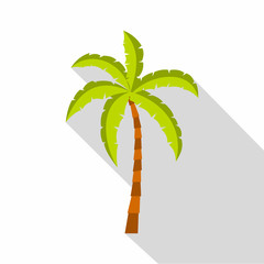 Palm tree icon. Flat illustration of palm tree vector icon for web