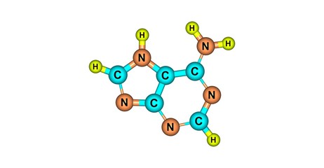 Adenine molecular structure isolated on white
